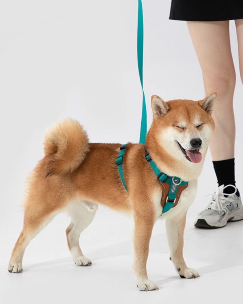 Adjustable green dog harness with vegan leather padded chest support, D-ring in front and back. no-pull design for medium to large dogs