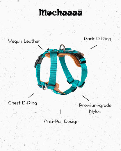 Adjustable green dog harness with vegan leather padded chest support, D-ring in front and back. no-pull design for medium to large dogs