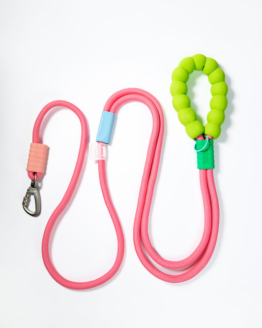 Pink rope dog leash with soft neon green padded handle – durable climbing rope style lead with secure metal clip for medium to large dogs
