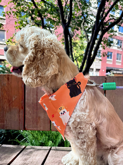 A light-colored dog wearing an orange bandana with a black cat and white cartoon print, sitting on a wooden deck with trees and buildings in the background.