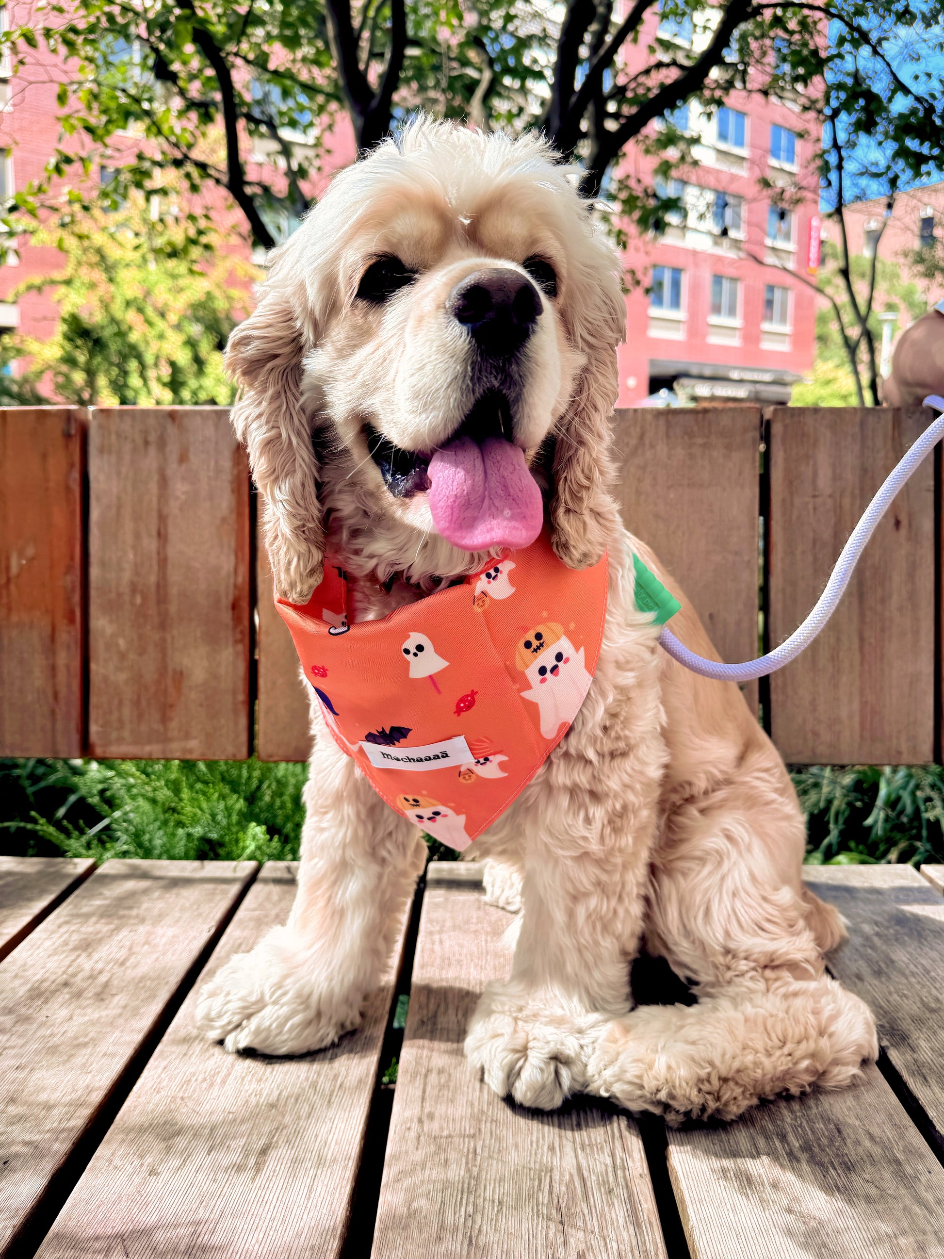 A fluffy cream-colored dog sitting on a wooden deck outdoors, wearing an orange bandana with a ghost and dog pattern. The background shows a wooden fence, green trees, and a pink building.