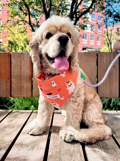 A fluffy cream-colored dog sitting on a wooden deck outdoors, wearing an orange bandana with a ghost and dog pattern. The background shows a wooden fence, green trees, and a pink building.