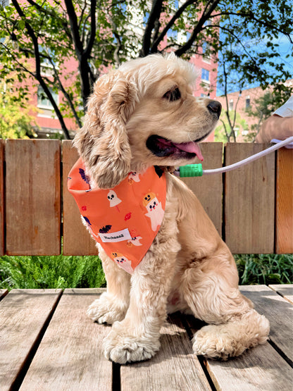 A light cream-colored Cocker Spaniel dog sitting on a wooden deck outdoors, wearing an orange bandana with a cute cartoon ghost pattern. The background shows a wooden fence, green grass, and trees.
