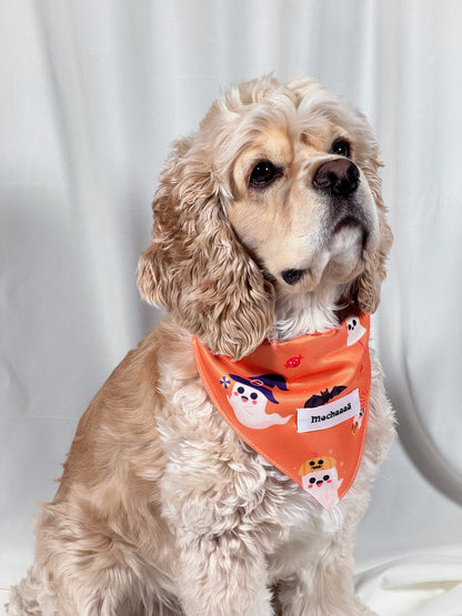 A light brown Cocker Spaniel dog wearing an orange Halloween-themed bandana with cartoon ghosts, bats, and a name label that reads 'Mochaaaā'.