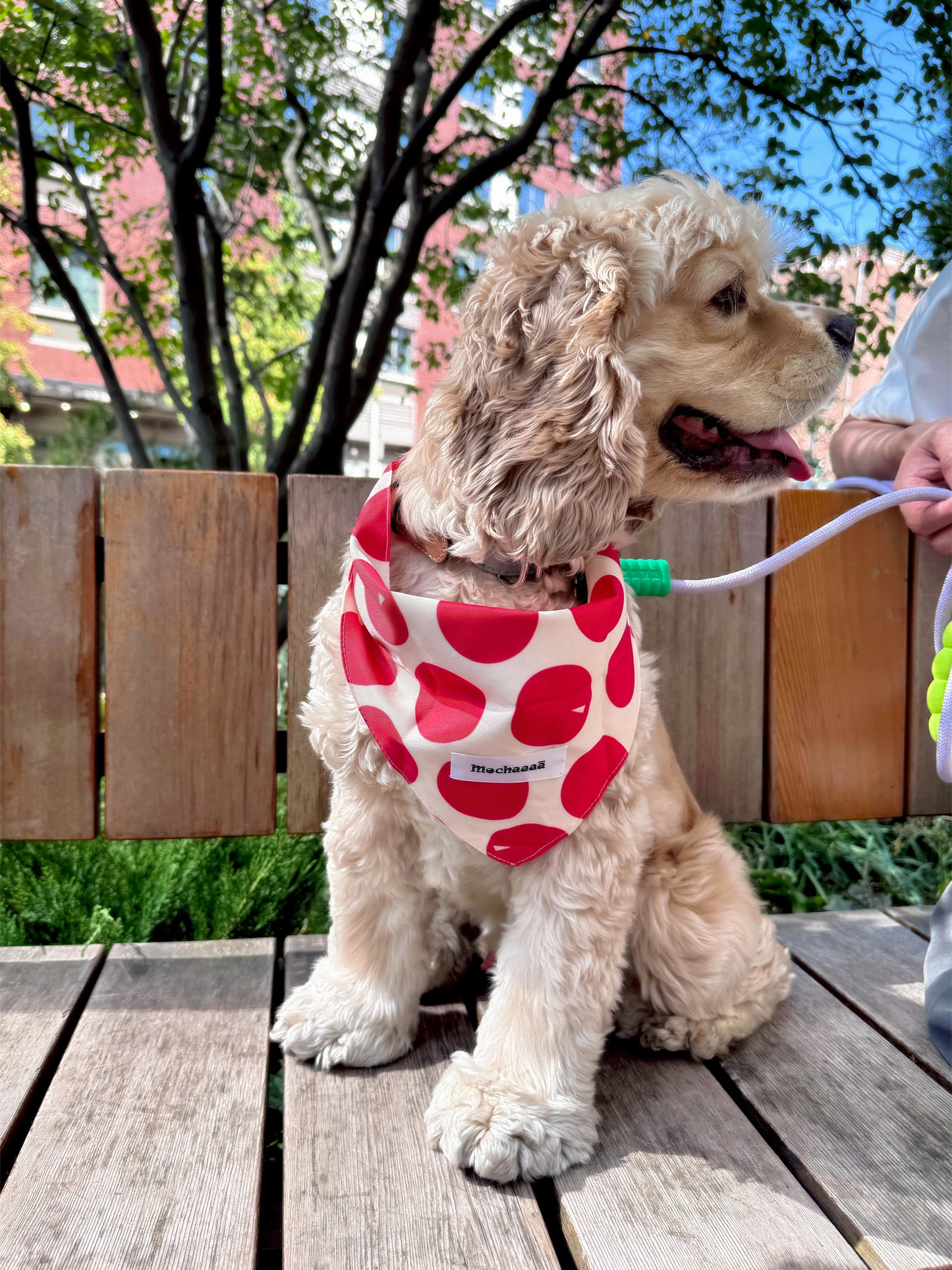 Bold Red Polka Dot Snap On Polyester Pet Bandana
