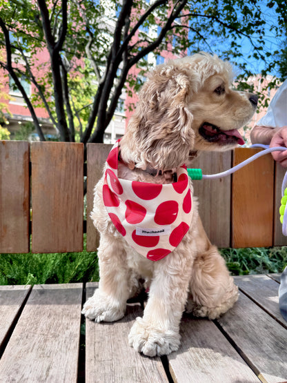 Bold Red Polka Dot Snap On Polyester Pet Bandana