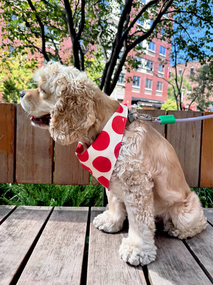 Bold Red Polka Dot Snap On Polyester Pet Bandana