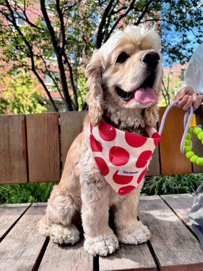 Bold Red Polka Dot Snap On Polyester Pet Bandana