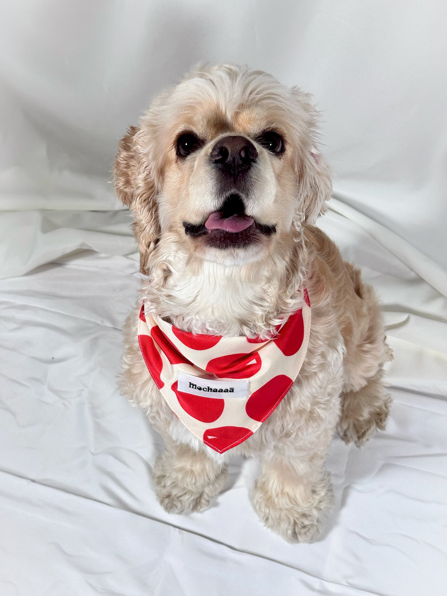 Bold Red Polka Dot Snap On Polyester Pet Bandana
