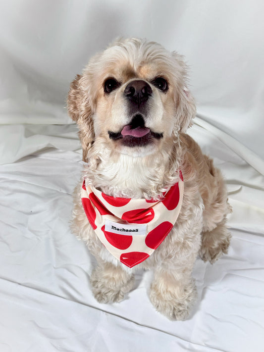 Bold Red Polka Dot Snap On Polyester Pet Bandana