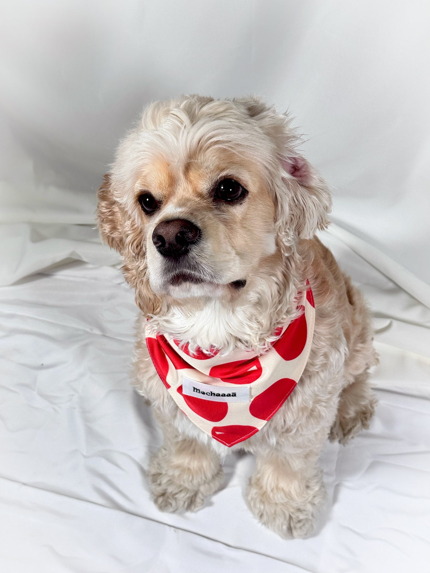 Bold Red Polka Dot Snap On Polyester Pet Bandana