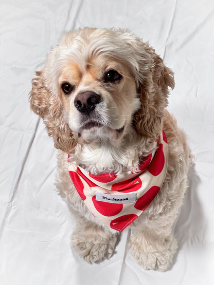 Bold Red Polka Dot Snap On Polyester Pet Bandana