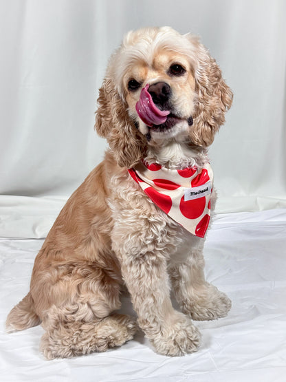Bold Red Polka Dot Snap On Polyester Pet Bandana