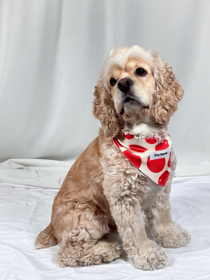 Bold Red Polka Dot Snap On Polyester Pet Bandana