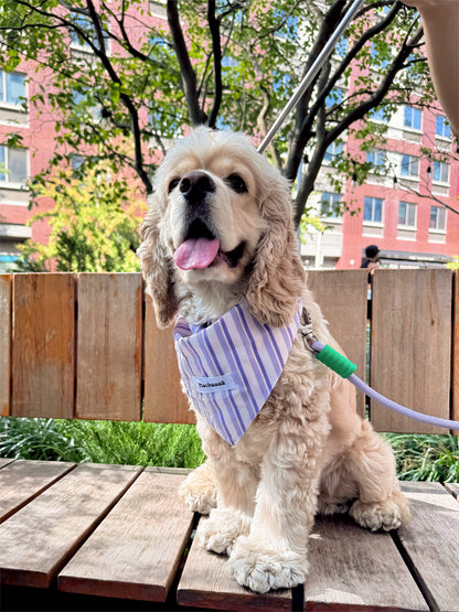 A cream-colored Cocker Spaniel dog sitting on a wooden table outdoors, wearing a light purple and white striped bandana with a small white brand tag that reads 'Mochaaaā'.