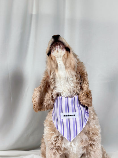 A fluffy light brown dog wearing a purple and white striped bandana with the name 'Mochaaaā' printed on it, set against a draped white fabric background.