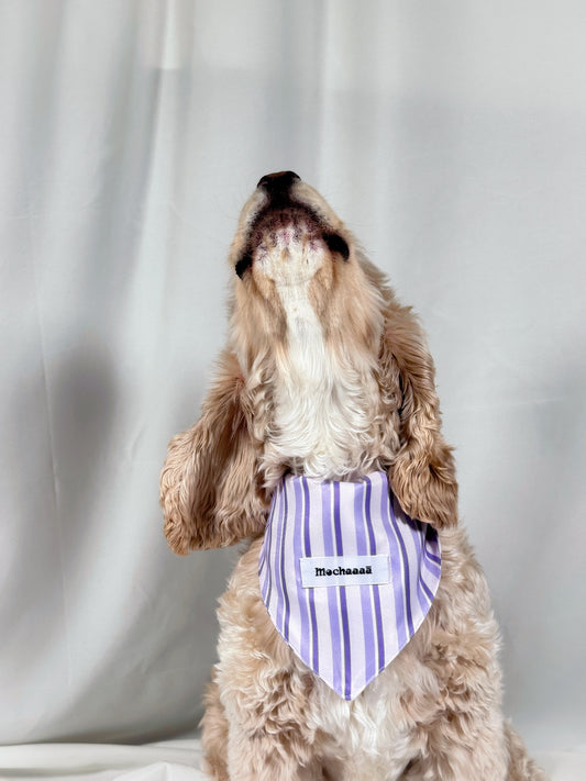 A fluffy light brown dog wearing a purple and white striped bandana with the name 'Mochaaaā' printed on it, set against a draped white fabric background.