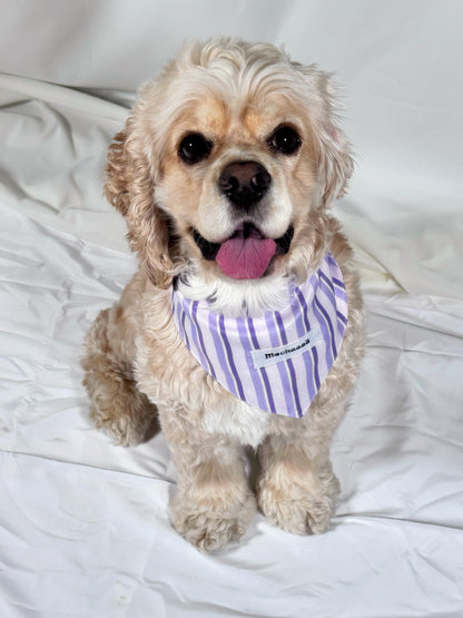 A small cream-colored dog sitting on white bedding, wearing a purple and white striped bandana with the brand name 'Mochaaaā' printed on it.