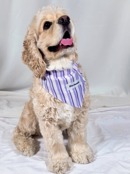 A light cream-colored Cocker Spaniel dog wearing a purple and white striped bandana with a visible 'Mochaaaā' brand label, sitting on a white fabric backdrop.