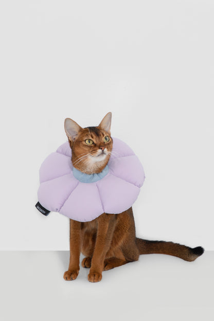 Soft Flower Adjustable Pet Recovery Collar – Waterproof Anti-Lick Cone for Cats & Small Dogs