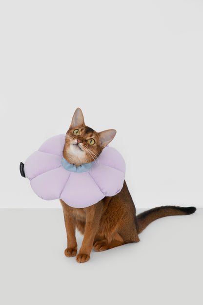Soft Flower Adjustable Pet Recovery Collar – Waterproof Anti-Lick Cone for Cats & Small Dogs