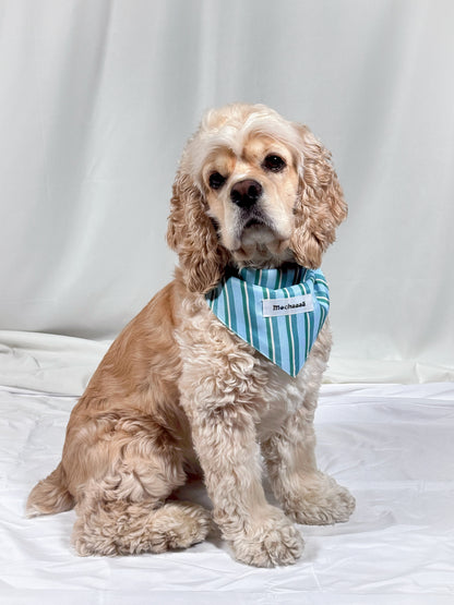 A light brown and cream Cocker Spaniel dog wearing a light blue and white striped bandana with a white name tag that reads 'Mochaaaā'. The dog is sitting on a white fabric backdrop.