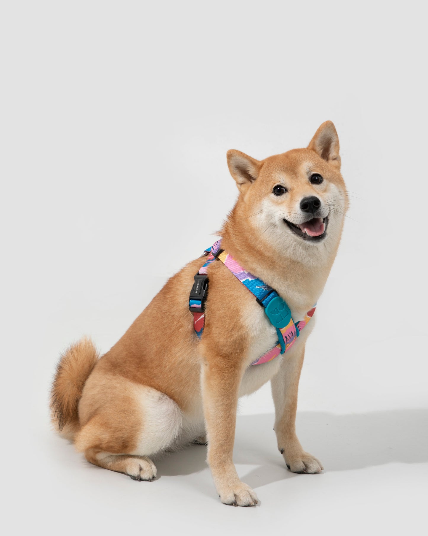 Shiba Inu wearing colorful adjustable dog harness – soft padded chest strap, perfect for small to medium dogs, safe for walking and training