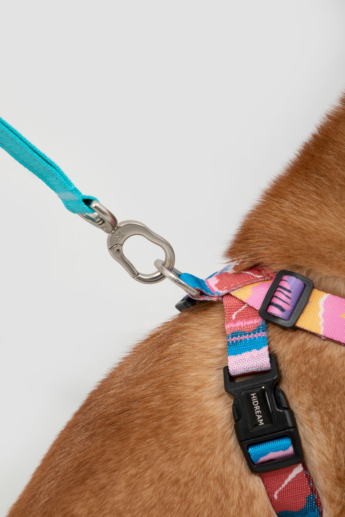 Close-up of durable dog leash clip attached to colorful no-pull harness – secure metal hook and sturdy nylon webbing ideal for strong dogs and outdoor walks