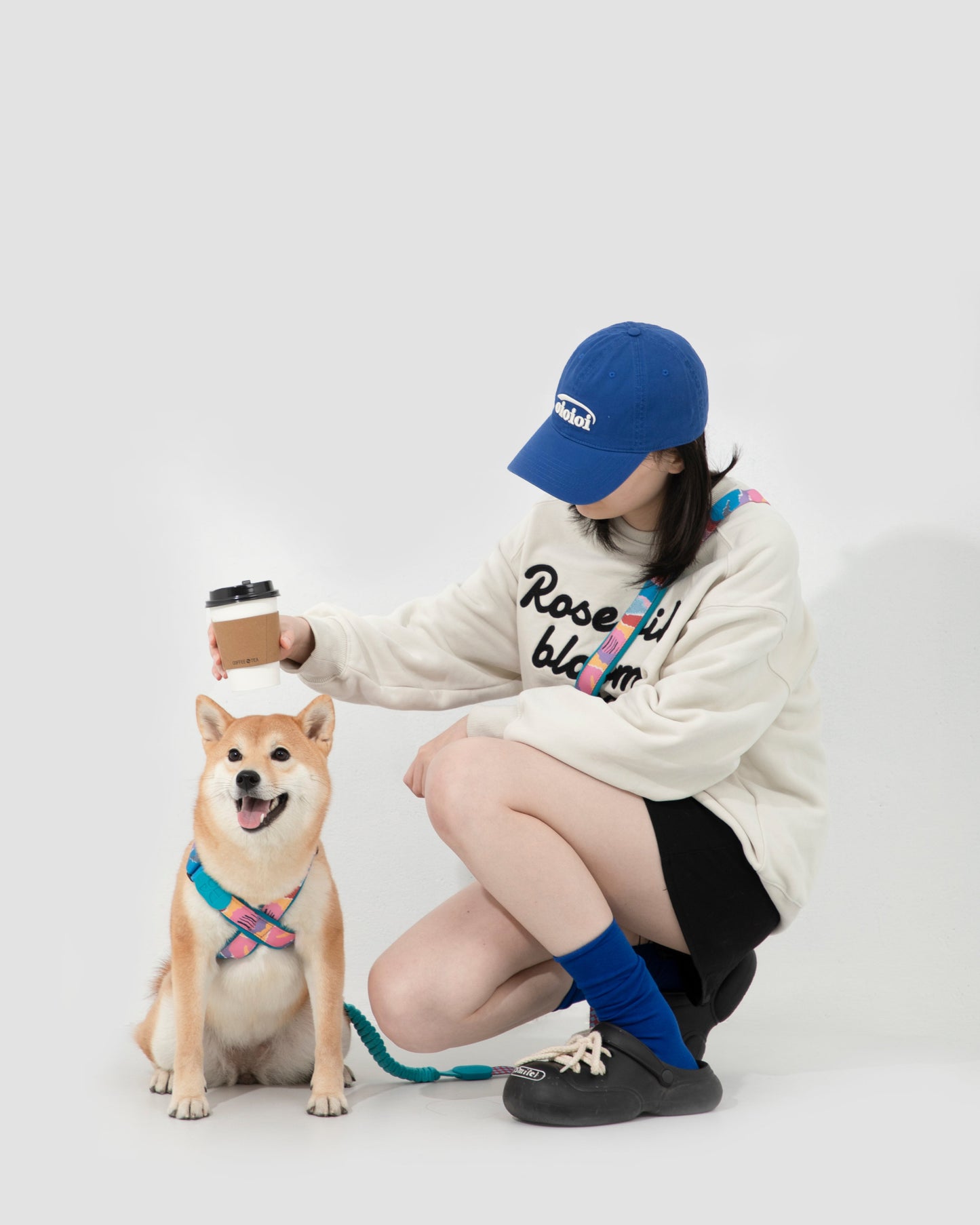 Colorful hands-free dog leash and harness set on happy Shiba Inu – adjustable stretch nylon with crossbody carry, perfect for stylish walking and everyday pet outings