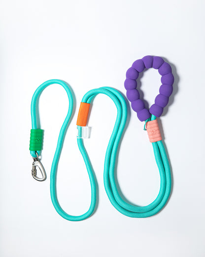Mint green rope dog leash with purple cushioned handle and metal clip – colorful no-pull leash for pet walking and training