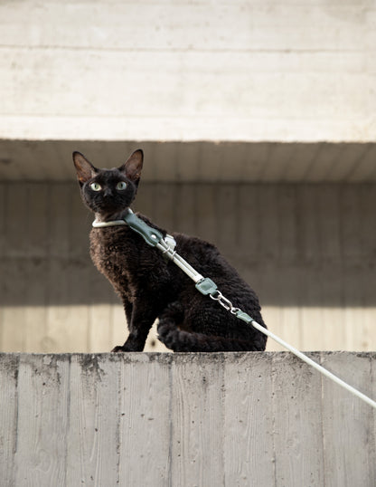 Black cat on a leash sitting on a concrete ledge with a neutral background