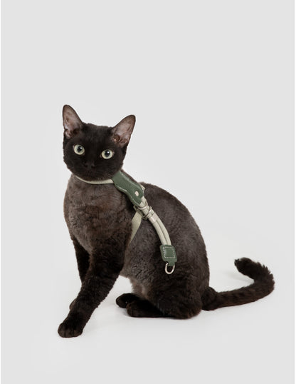 Cat wearing a green harness on a white background