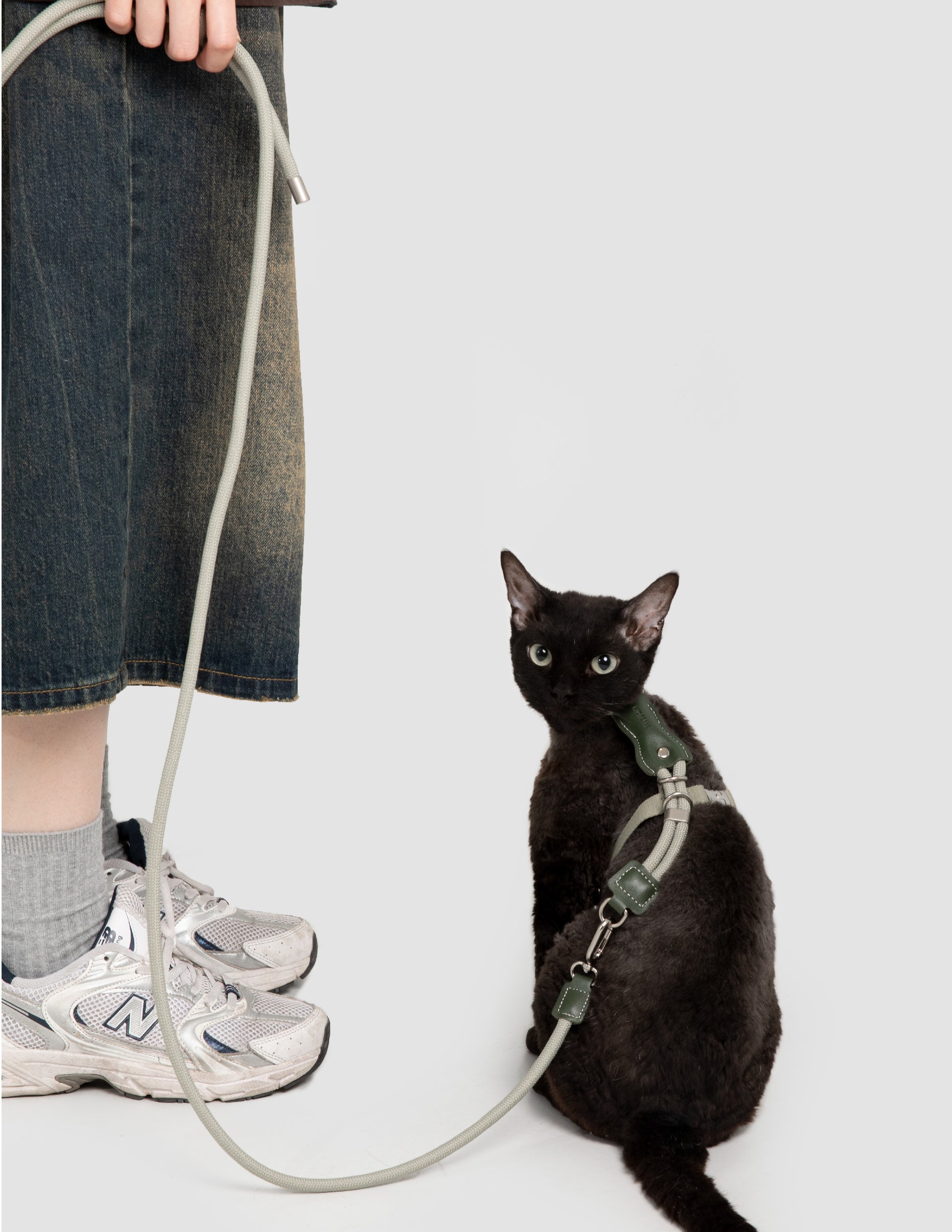 Black cat on a leash held by a person wearing jeans and sneakers on a light gray background