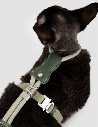 Dog wearing a green harness on a white background