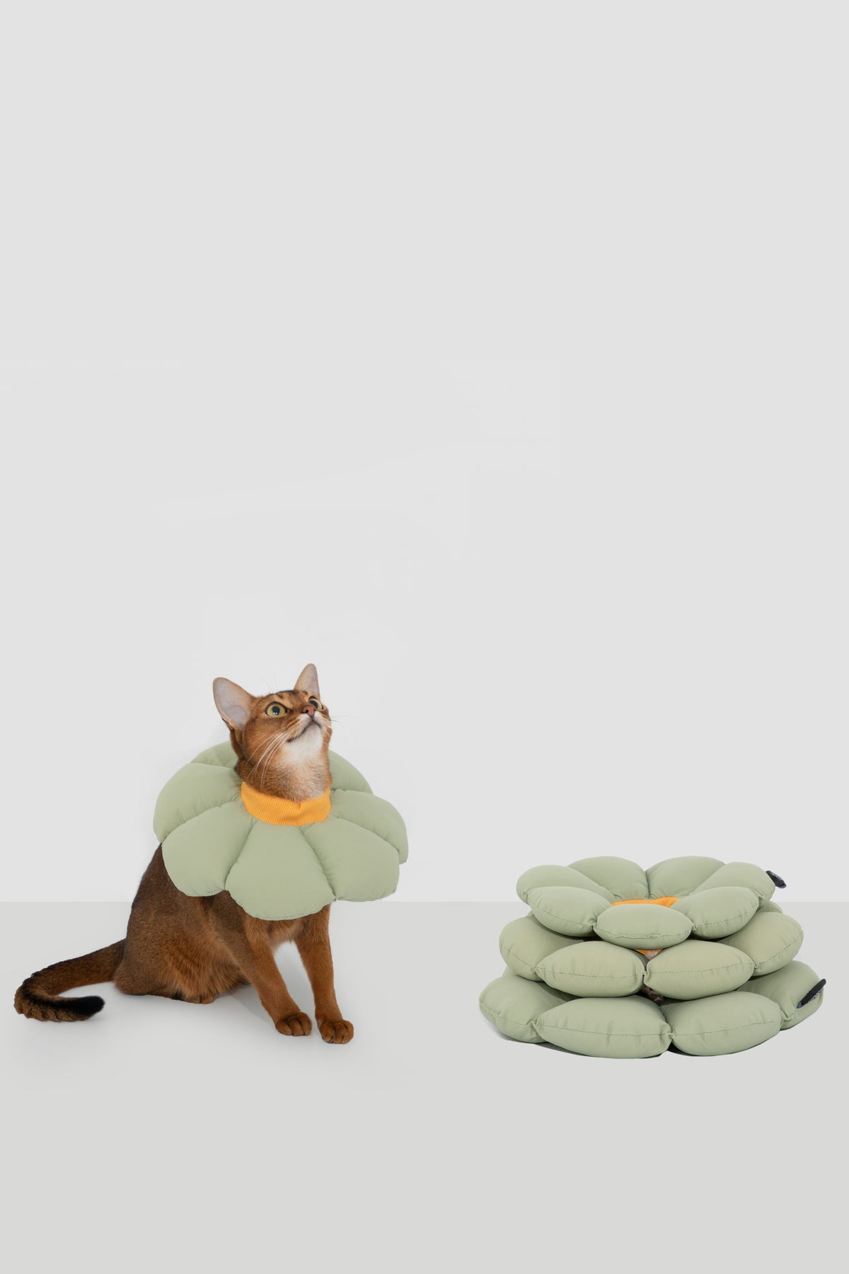 Soft Flower Adjustable Pet Recovery Collar – Waterproof Anti-Lick Cone for Cats & Small Dogs