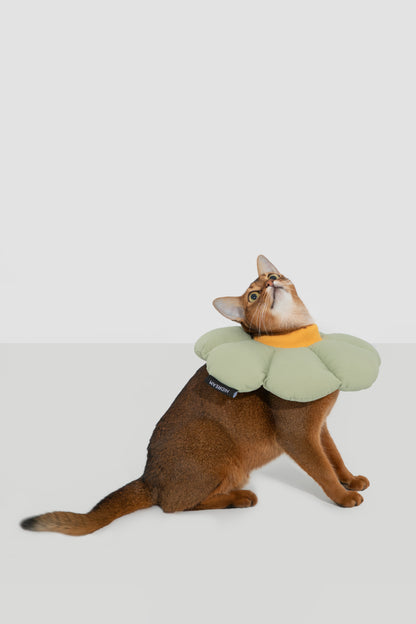 Soft Flower Adjustable Pet Recovery Collar – Waterproof Anti-Lick Cone for Cats & Small Dogs