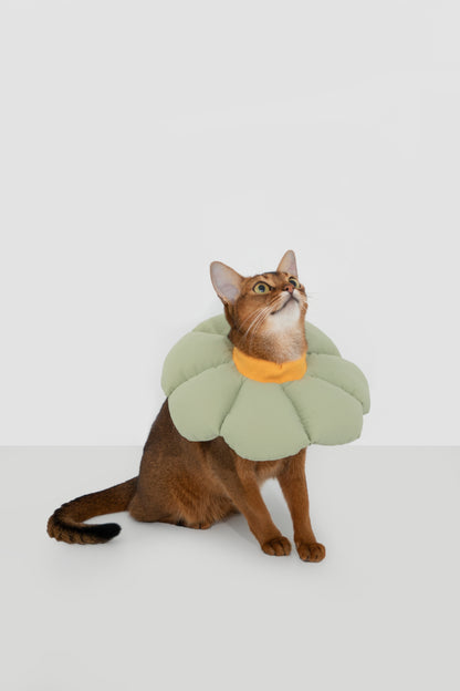 Soft Flower Adjustable Pet Recovery Collar – Waterproof Anti-Lick Cone for Cats & Small Dogs