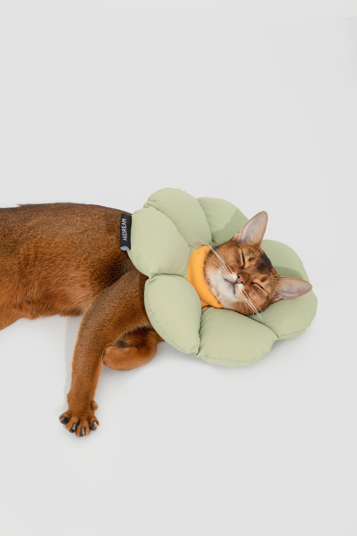 Soft Flower Adjustable Pet Recovery Collar – Waterproof Anti-Lick Cone for Cats & Small Dogs