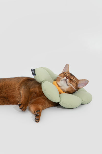 Soft Flower Adjustable Pet Recovery Collar – Waterproof Anti-Lick Cone for Cats & Small Dogs