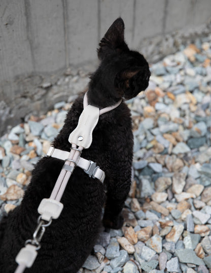 Black cat on a leash sitting on gravel with a concrete wall in the background