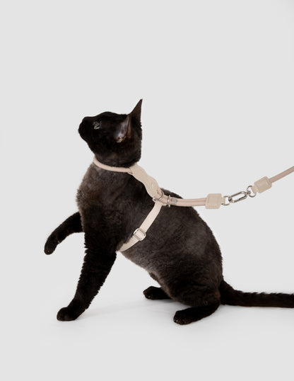 Cat wearing a beige harness and leash on a white background