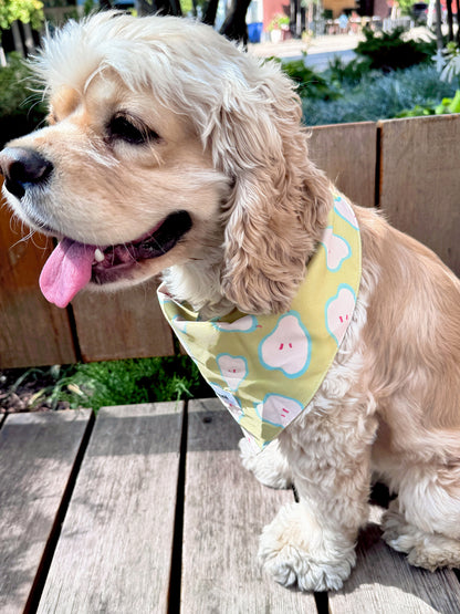 A light cream-colored dog wearing a pastel yellow bandana with a cute cloud pattern, sitting on a wooden deck outdoors.