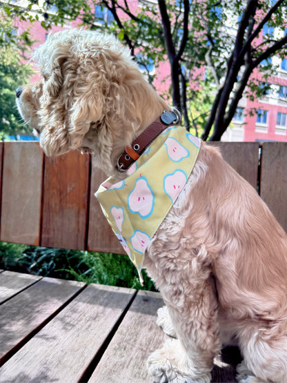 A light cream-colored poodle wearing a pale yellow bandana with a pink and white cloud pattern, sitting on a wooden deck outdoors.