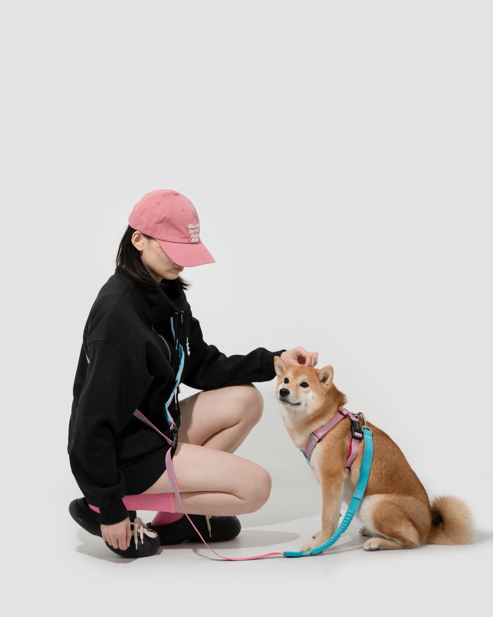 Colorful pink and teal patterned dog leash with padded handle, bungee shock absorber, and metal clip
